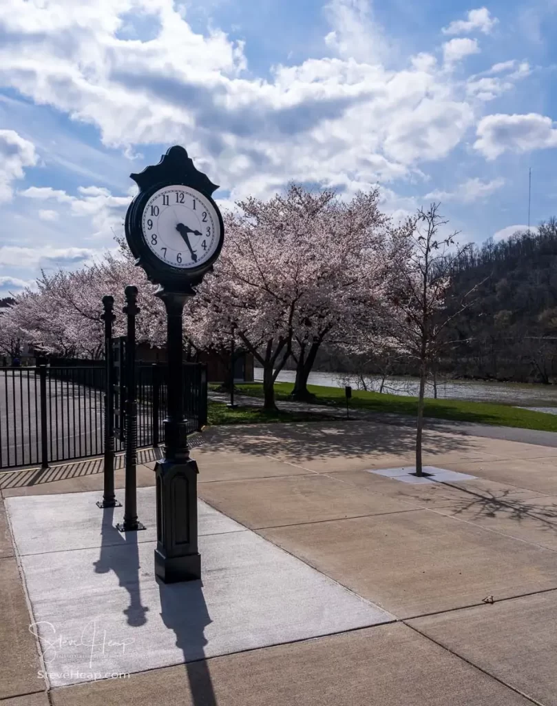 Old fashioned clock by the walking and cycling trail in Morgantown WV with cherry blossoms blooming in the spring