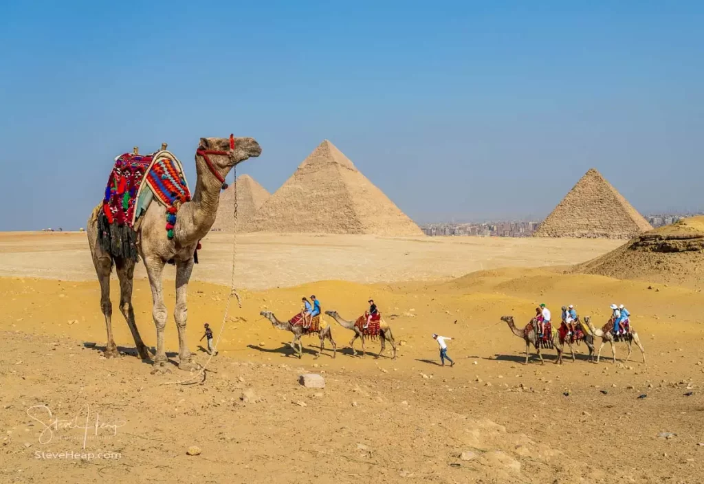 Camel rides across the sands of the Sahara with pyramids in the background