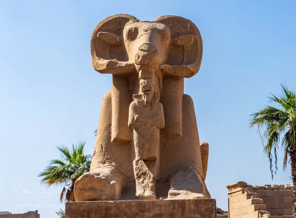 Ram headed Sphinx with a human figure under its chin - hundreds of these statues line the long pathway that link back to Luxor Temple