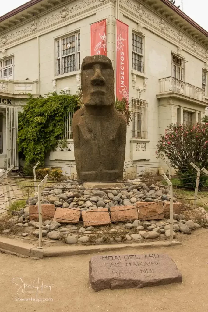 Museum of Archaeology and History Francisco Fonck features stone moai sculptures from Easter Island and shrunken heads