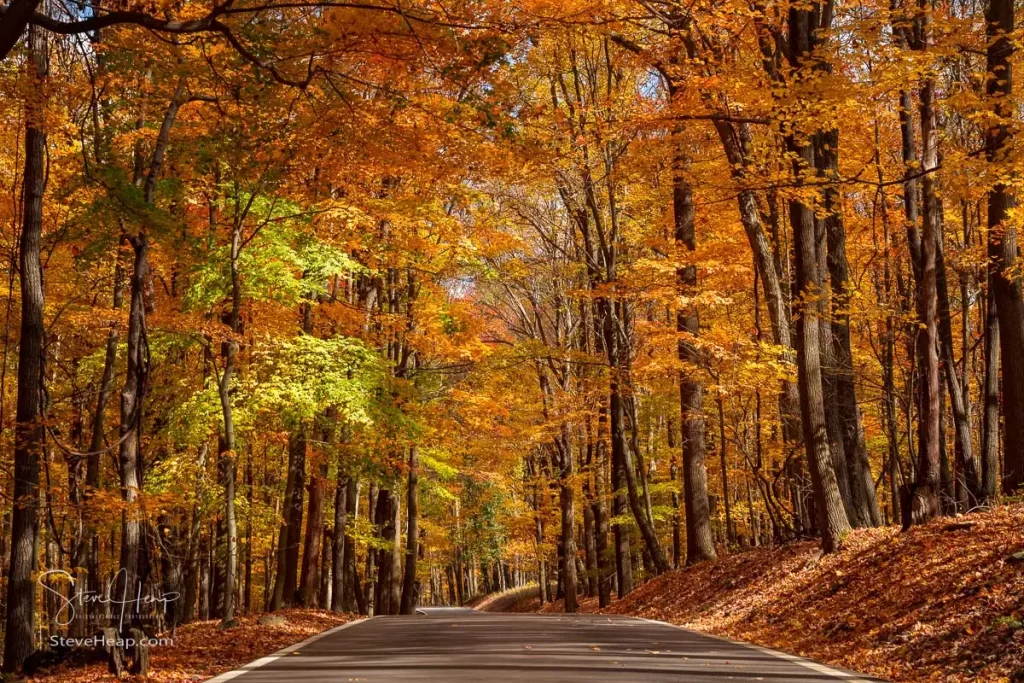 West Virginia roads in the fall - the road to Coopers Rock. Available as a wall mural here